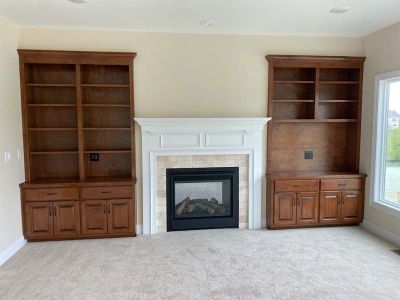 fireplace 2024