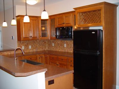 dav bsmt kitchen side
