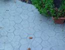 over stamped concrete patio